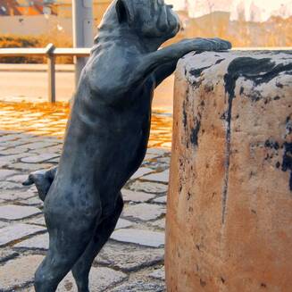 „Waldmops-Bande“ ganz nah auf dessen Spuren - Fotobrb: Faszination Fotografie aus Brandenburg an der Havel Waldmops___5