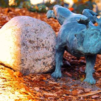 „Waldmops-Bande“