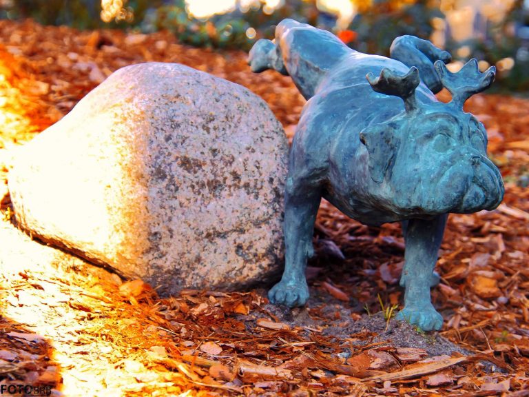 „Waldmops-Bande“