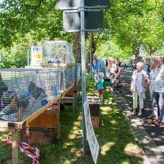 100_Jahre_Kirchmoeser_2