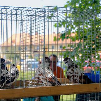 100_Jahre_Kirchmoeser_3