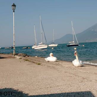 Gardasee_2021_3