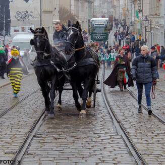 11_11_Karnevalumzug_14