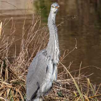 Frühling in und um Brandenburg - Fotobrb: Faszination Fotografie aus Brandenburg an der Havel Fruehling_105