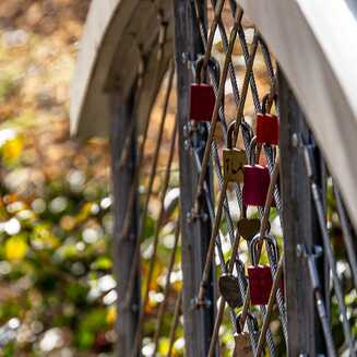 Frühling in und um Brandenburg - Fotobrb: Faszination Fotografie aus Brandenburg an der Havel Fruehling_2021_4