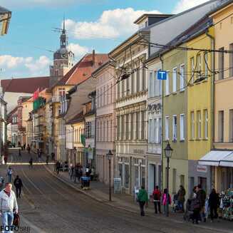 Frühling in und um Brandenburg - Fotobrb: Faszination Fotografie aus Brandenburg an der Havel Fruehling_2021_5