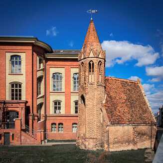 Frühling in und um Brandenburg - Fotobrb: Faszination Fotografie aus Brandenburg an der Havel Fruehling_31
