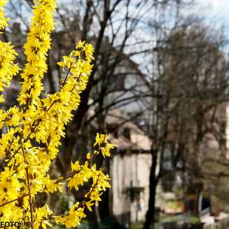 Frühling in und um Brandenburg - Fotobrb: Faszination Fotografie aus Brandenburg an der Havel Fruehling_33