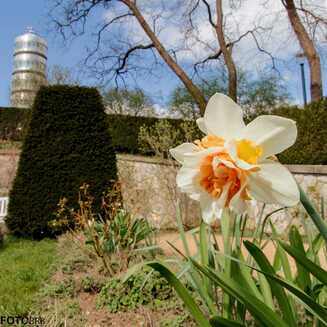 Frühling in und um Brandenburg - Fotobrb: Faszination Fotografie aus Brandenburg an der Havel Fruehling_36