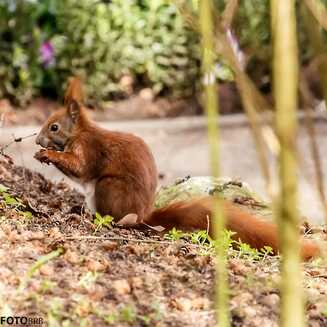 Frühling in und um Brandenburg - Fotobrb: Faszination Fotografie aus Brandenburg an der Havel Fruehling_37