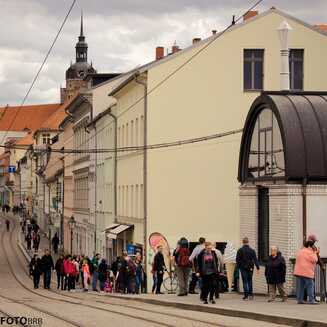 Frühling in und um Brandenburg - Fotobrb: Faszination Fotografie aus Brandenburg an der Havel Fruehling_40