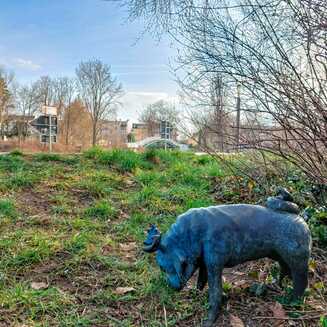 „Waldmops-Bande“ ganz nah auf dessen Spuren - Fotobrb: Faszination Fotografie aus Brandenburg an der Havel Waldmops an der Havel im Hintergrund zusehen die Bauchschmerzenbrücke