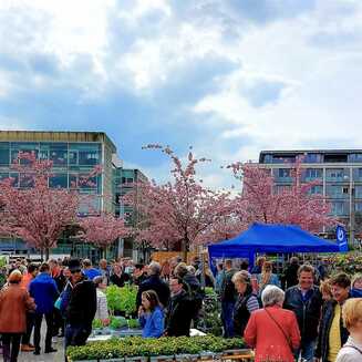 Gartenmarkt 2022