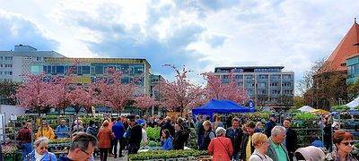 Gartenmarkt 2022