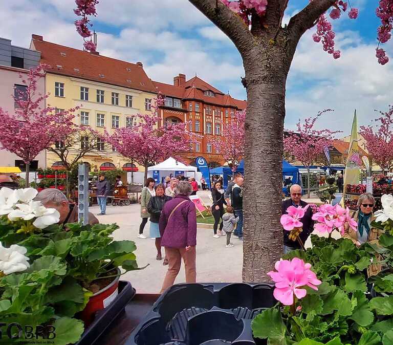 Balkon der Stadt lädt in die Innenstadt