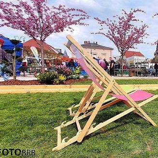 Gartenmarkt 2024: Foto: Gartenmarkt 2022