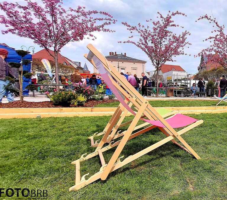 Gartenmarkt 2024: Foto: Gartenmarkt 2022