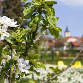 Laga_Beelitz_2022_31