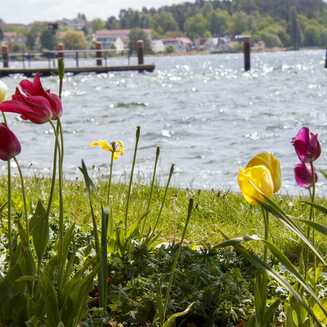 Heilbad Waren (Müritz): Garantiert ein Ort der Erholung - Fotobrb: Faszination Fotografie aus Brandenburg an der Havel Waren_Mueritz_2022_11