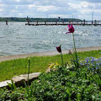 Heilbad Waren (Müritz): Garantiert ein Ort der Erholung - Fotobrb: Faszination Fotografie aus Brandenburg an der Havel Waren_Mueritz_2022_2