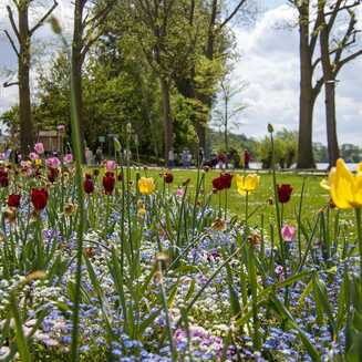 Heilbad Waren (Müritz): Garantiert ein Ort der Erholung - Fotobrb: Faszination Fotografie aus Brandenburg an der Havel Waren_Mueritz_2022_20