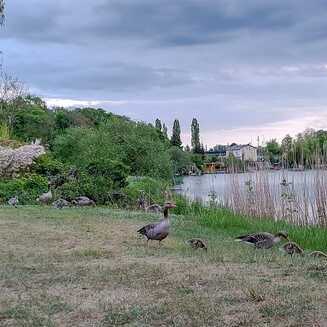 Heilbad Waren (Müritz): Garantiert ein Ort der Erholung - Fotobrb: Faszination Fotografie aus Brandenburg an der Havel Waren_Mueritz_2022_8