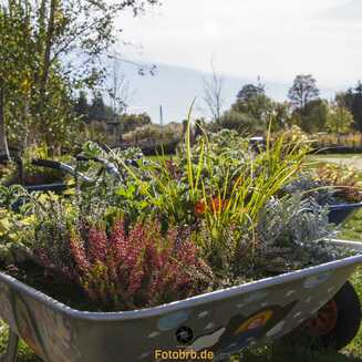 LAGA_2022_Oktober_10