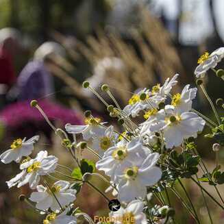 LAGA_2022_Oktober_14