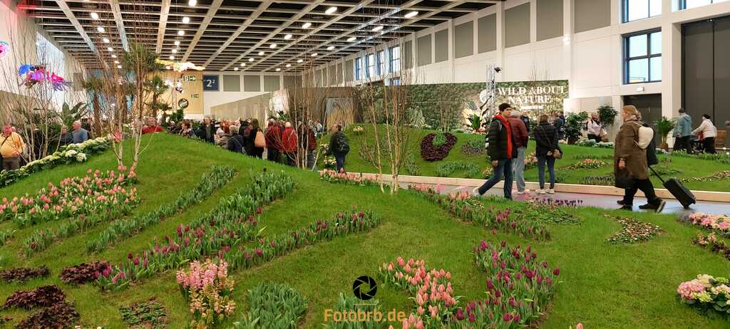 Wild about Nature: Blumenhalle gegen Wintergrau