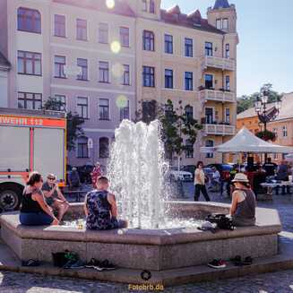 Eine kleine Pause im Brunnen am Altstädtischem Rathauses