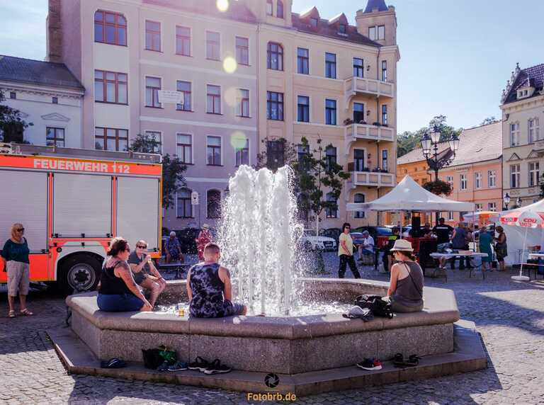 Eine kleine Pause im Brunnen am Altstädtischem Rathauses