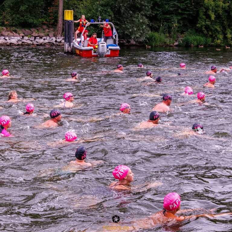 31. BRANDENBURGER BRÜCKENSCHWIMMEN