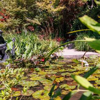 Heller Garden – Einzigartig am Gardasee - Fotobrb: Faszination Fotografie aus Brandenburg an der Havel Heller_Garden_190