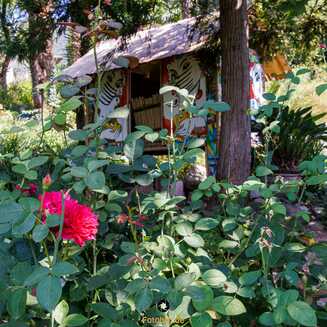 Heller Garden – Einzigartig am Gardasee - Fotobrb: Faszination Fotografie aus Brandenburg an der Havel Heller_Garden_194