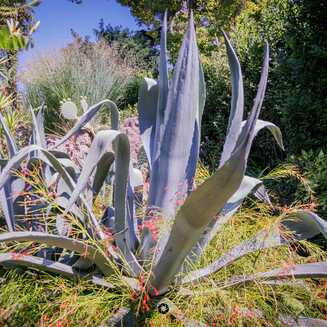 Heller Garden – Einzigartig am Gardasee - Fotobrb: Faszination Fotografie aus Brandenburg an der Havel Heller_Garden_197
