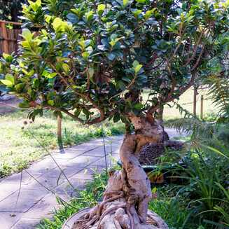 Heller Garden – Einzigartig am Gardasee - Fotobrb: Faszination Fotografie aus Brandenburg an der Havel Heller_Garden_199
