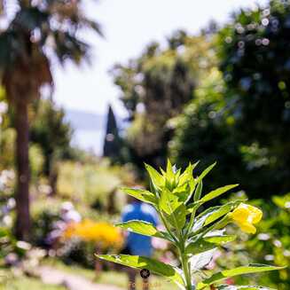 Heller Garden – Einzigartig am Gardasee - Fotobrb: Faszination Fotografie aus Brandenburg an der Havel Heller_Garden_205