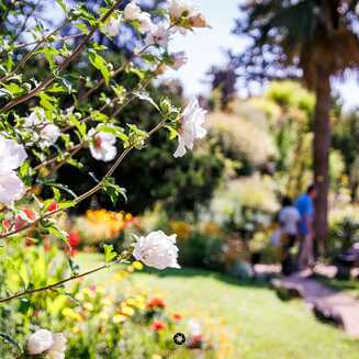 Heller Garden – Einzigartig am Gardasee - Fotobrb: Faszination Fotografie aus Brandenburg an der Havel Heller_Garden_207