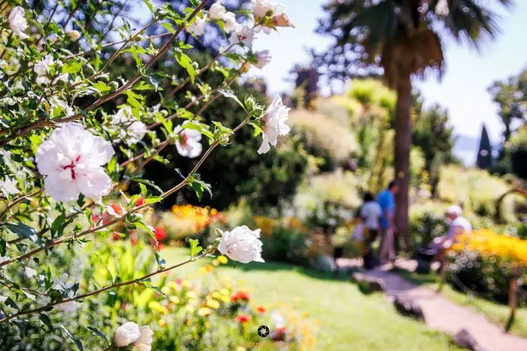 Heller Garden – Einzigartig am Gardasee