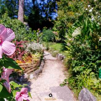 Heller Garden – Einzigartig am Gardasee - Fotobrb: Faszination Fotografie aus Brandenburg an der Havel Heller_Garden_209