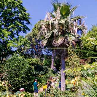 Heller Garden – Einzigartig am Gardasee - Fotobrb: Faszination Fotografie aus Brandenburg an der Havel Heller_Garden_213
