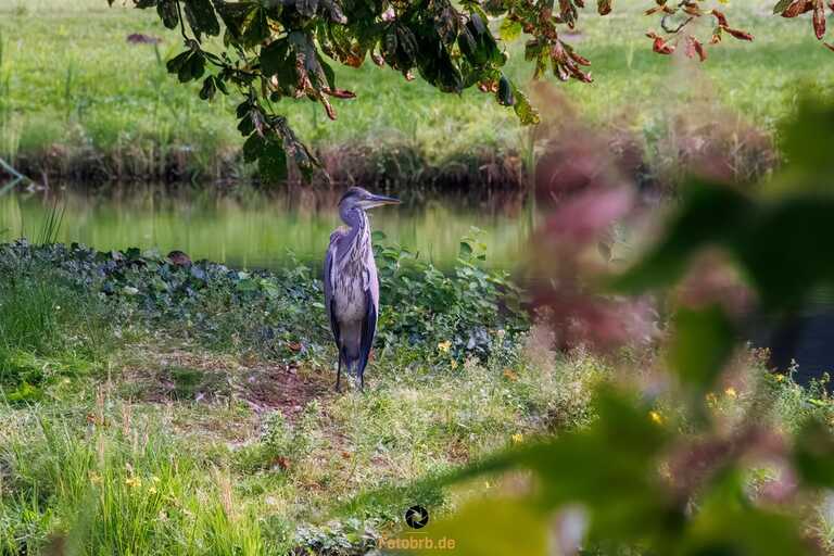 Schloss Wiesenburg: Inspirierend Schloss