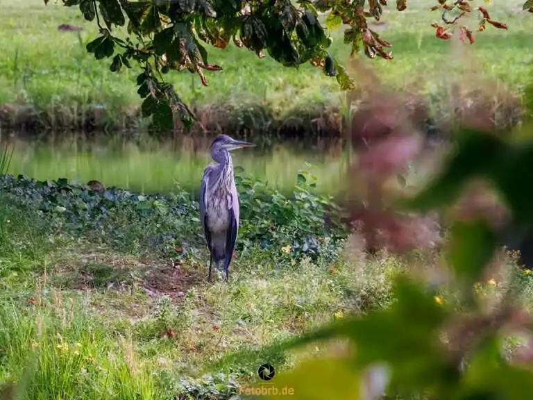 Schloss Wiesenburg: Inspirierend Schloss