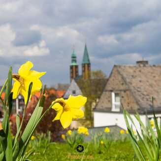 Goslar_298