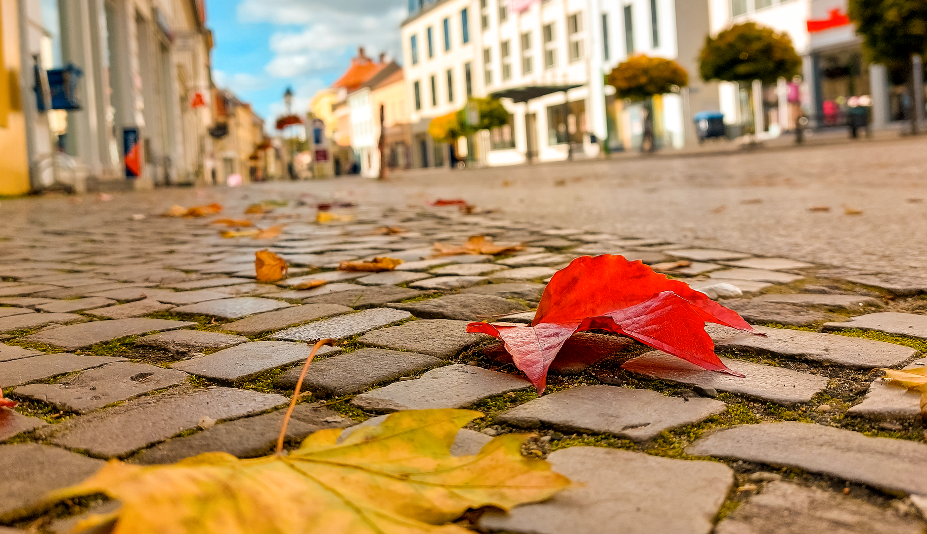 Brandenburger Hauptstraße im Herbst 2022 Foto @ Fotobrb