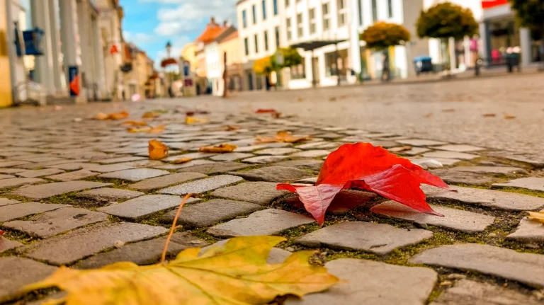 Brandenburger Hauptstraße im Herbst 2022 Foto @ Fotobrb