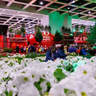 Nachhaltigkeit im Fokus: Grüne Woche 2024 in Berlin - Fotobrb: Faszination Fotografie aus Brandenburg an der Havel Blumenhalle
