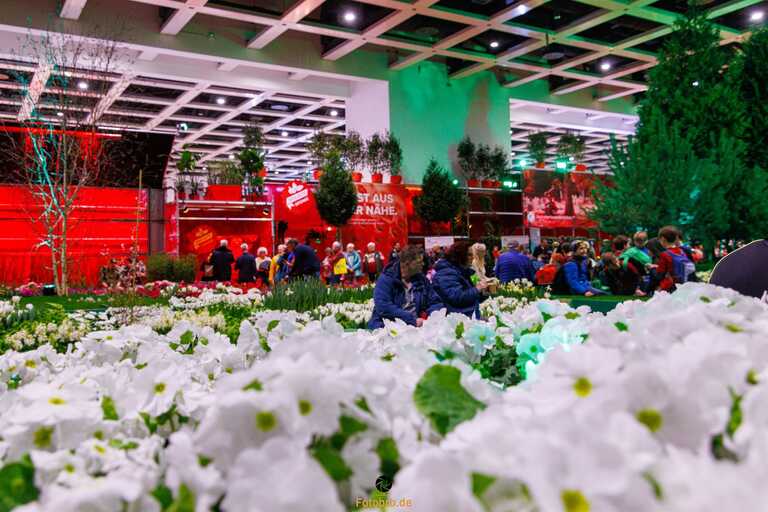 Blumenhalle