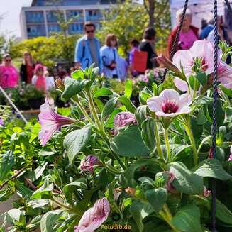 Besucher hielten nach neuen Inspirationen ausschau