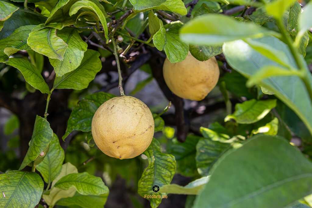 Gargnano: Eine zauberhafte Reise durch das Juwel am Gardasee